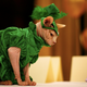 Illustration for article titled Cats Infiltrate the Fashion Industry in Phase Two of World Domination Plan